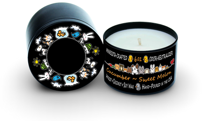 Orange Duck | Cucumber ~ Sweet Melon